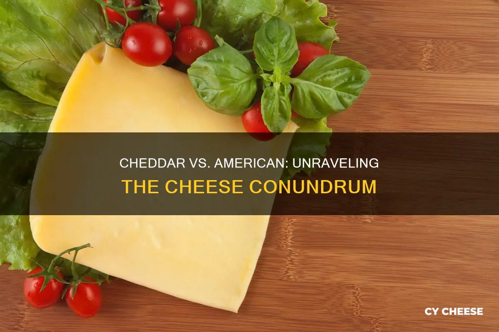 is cheddar cheese the same as american