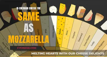 Unraveling the Cheese Conundrum: Cheddar vs. Mozzarella