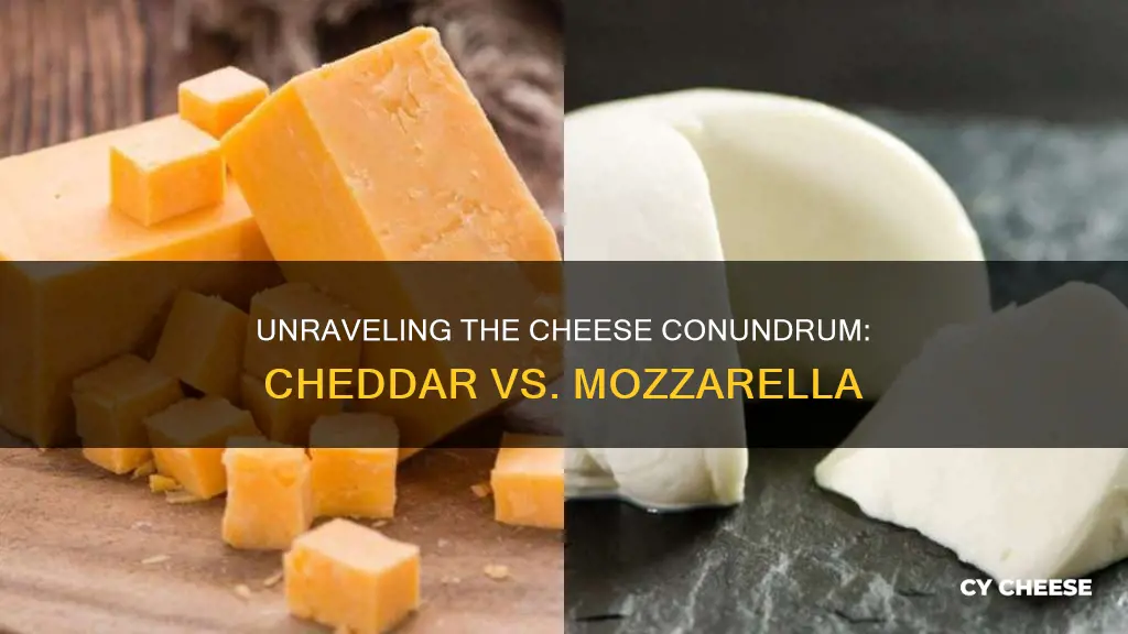 is cheddar cheese the same as mozzarella