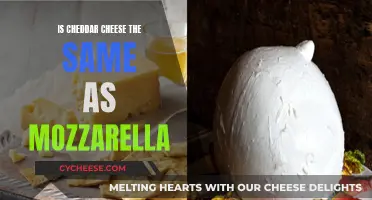 Cheddar and Mozzarella: What's the Difference?