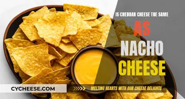 Cheddar vs. Nacho Cheese: Unraveling the Cheesy Mystery