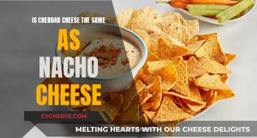 Cheddar vs Nacho Cheese: What's the Difference?