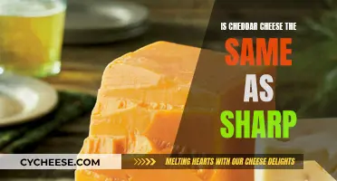 Cheddar vs. Sharp: Unraveling the Cheesy Similarities and Differences