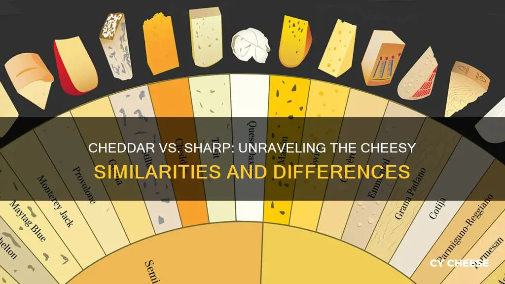 is cheddar cheese the same as sharp