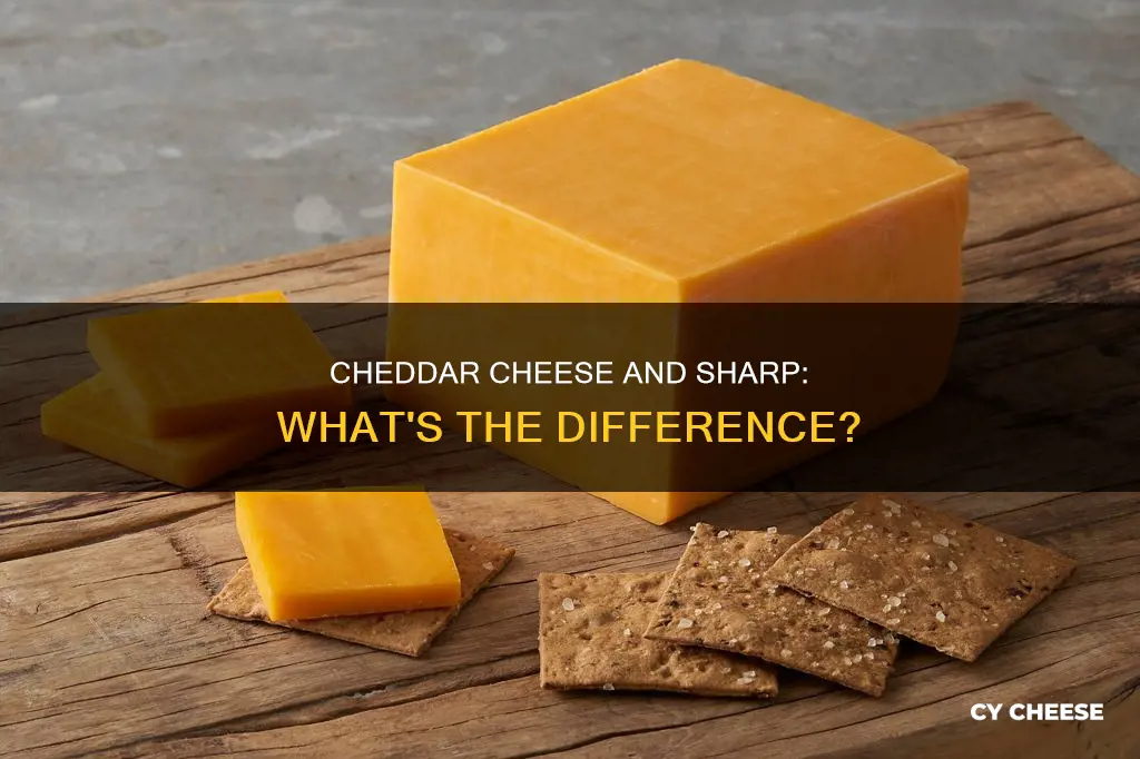is cheddar cheese the same as sharp