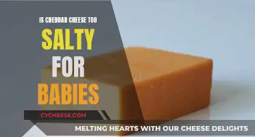 Is Cheddar Cheese Too Salty for Baby's First Bites?