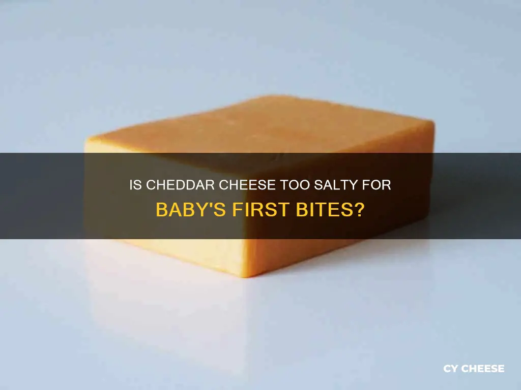 is cheddar cheese too salty for babies