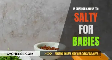 Cheddar Cheese: Is It Too Salty for Babies?