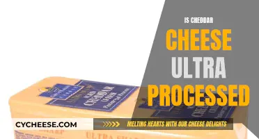 Unraveling the Cheddar Mystery: Is it Ultra-Processed?