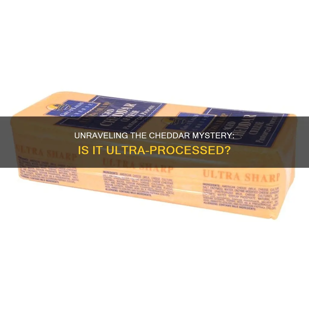 is cheddar cheese ultra processed