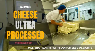 Cheddar Cheese: Ultra-Processed or Not?
