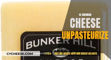 Is Cheddar Cheese Unpasteurized? Unveiling the Truth Behind the Creamy Texture