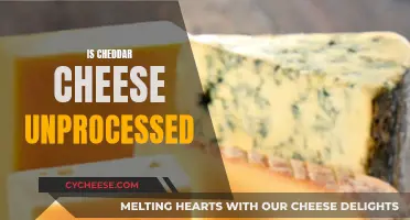 Cheddar Cheese: Processed or Not?