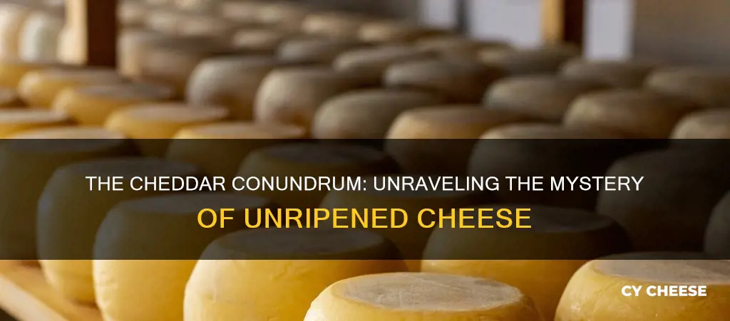 is cheddar cheese unripened