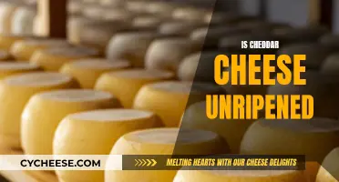 Cheddar Cheese: Is It Truly Unripened?