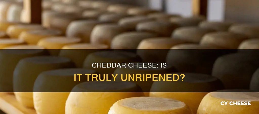 is cheddar cheese unripened