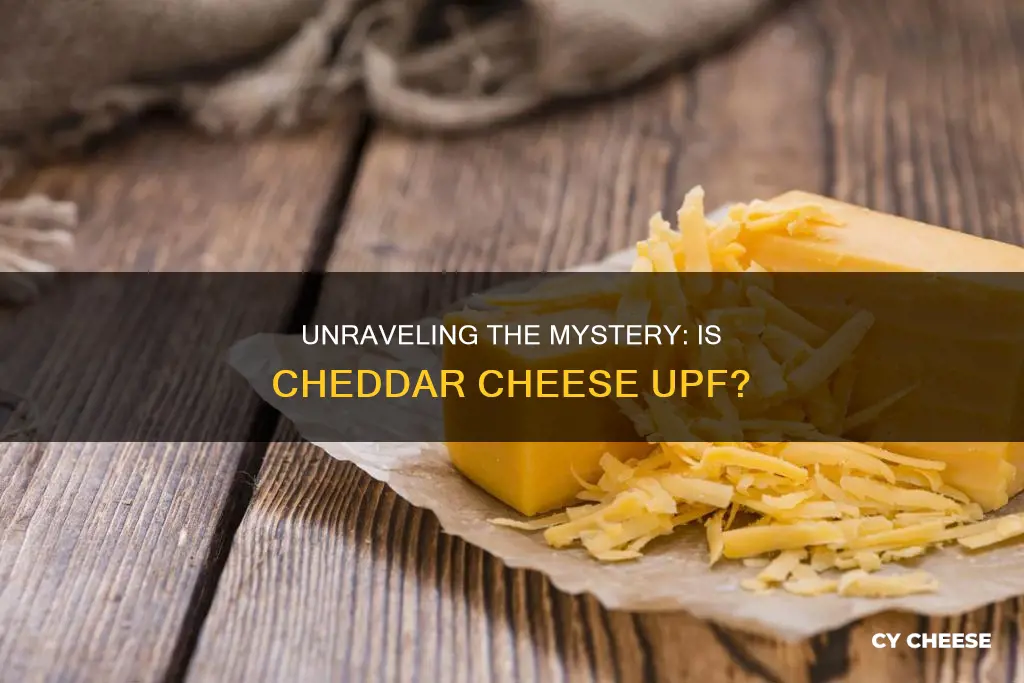 is cheddar cheese upf