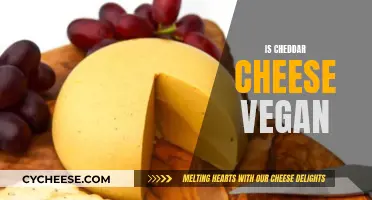 Unveiling the Vegan Status of Cheddar Cheese: A Tasty Debate