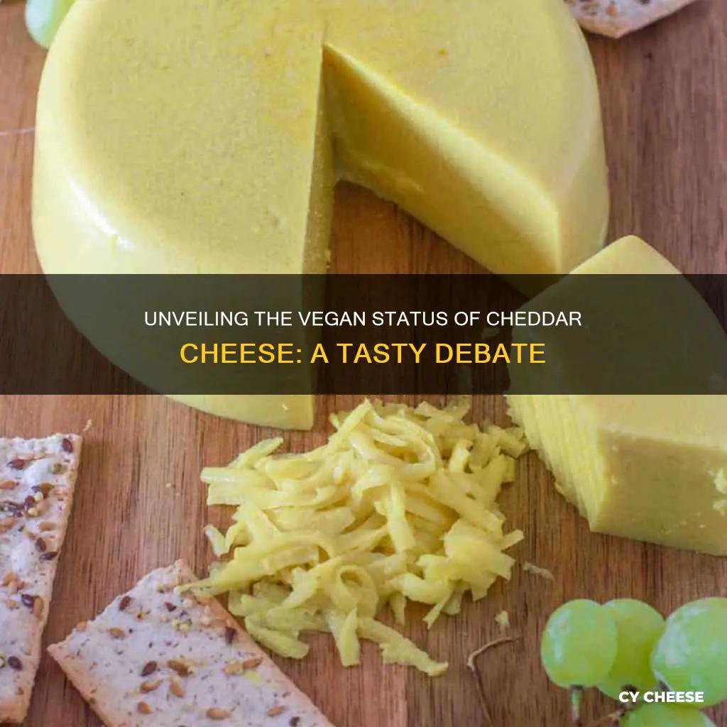 is cheddar cheese vegan