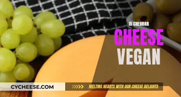 Cheddar Cheese: Vegan or Not?