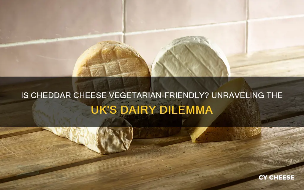 is cheddar cheese vegetarian uk