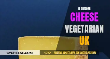 Cheddar Cheese: Vegetarian-Friendly in the UK?