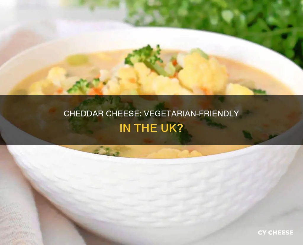 is cheddar cheese vegetarian uk