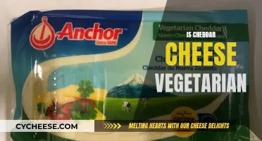 Unraveling the Cheddar Mystery: Is It Vegetarian-Friendly?