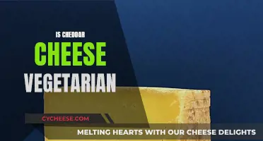 Cheddar Cheese: A Vegetarian Delight or Not?