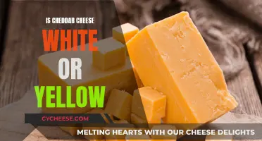 The Color Conundrum: Cheddar's Yellow or White Enigma