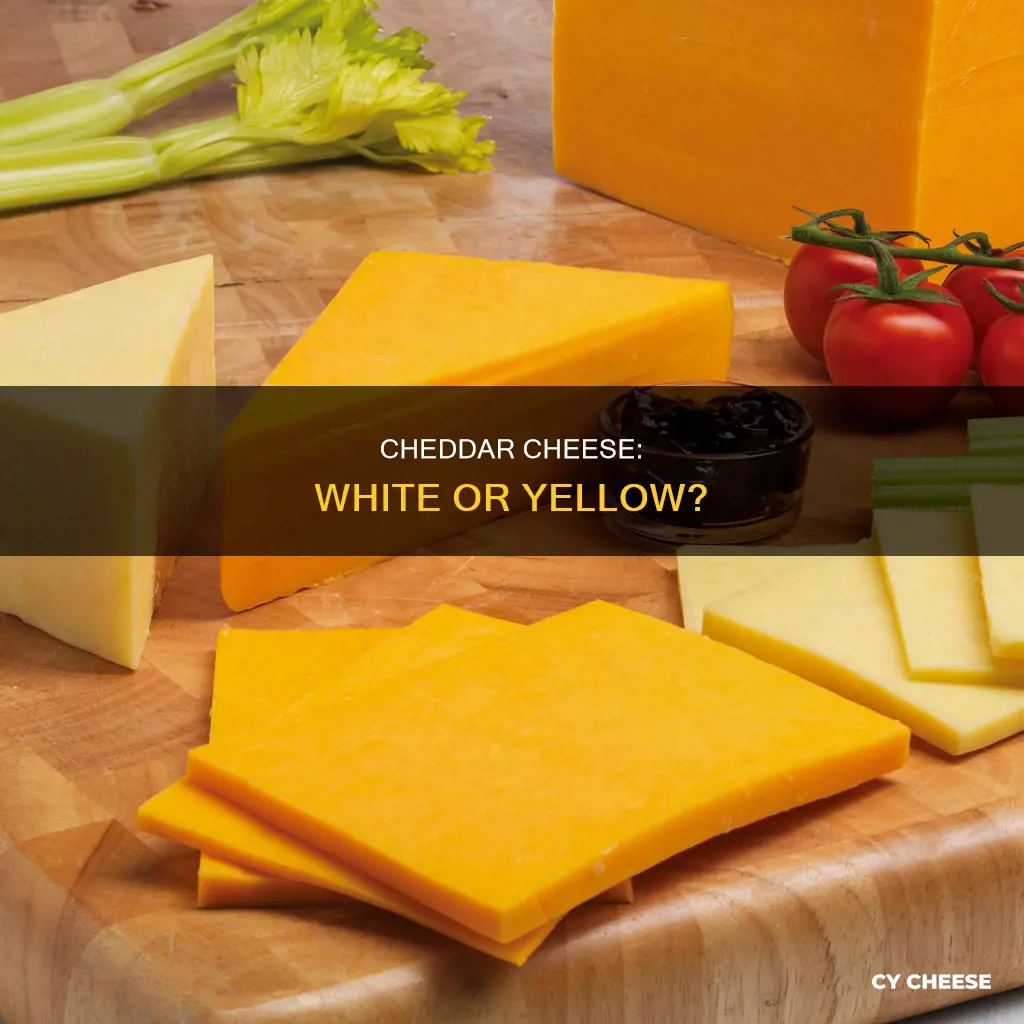 is cheddar cheese white or yellow