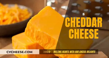 Exploring Cheddar's Creamy Charm: A Cheese Connoisseur's Delight