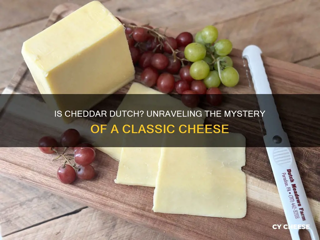 is cheddar dutch cheese