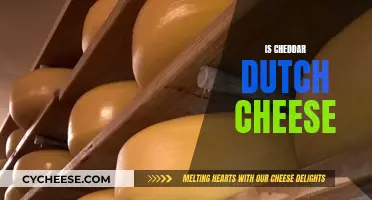 Cheddar and Dutch Cheese: What's the Difference?