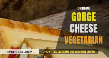 Unraveling the Cheddar Gorge Mystery: Is It Vegan-Friendly?