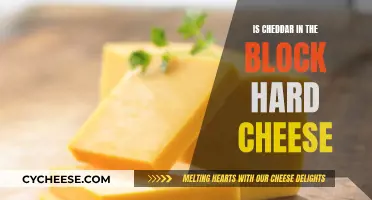 Hard Cheese: Cheddar Blocks and Their Unique Firmness