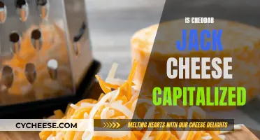 Cheddar Jack Cheese: To Capitalize or Not?
