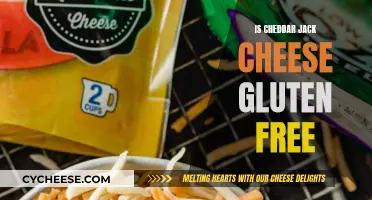 Cheddar Jack Cheese: Gluten-Free Delight or Hidden Hazard?