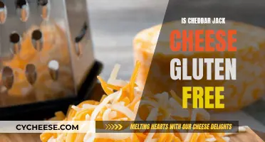 Cheddar Jack Cheese: A Gluten-Free Option?