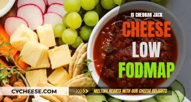 Cheddar Jack Cheese: Unraveling the Low FODMAP Mystery