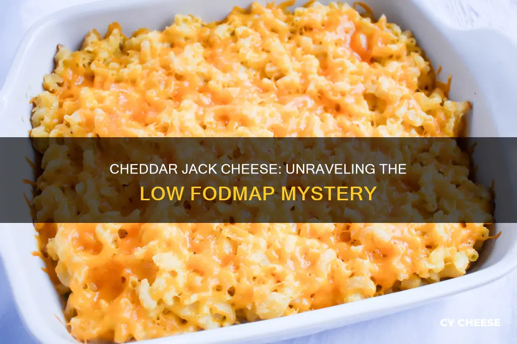 is cheddar jack cheese low fodmap