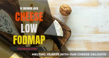 Cheddar Jack Cheese: Friend or Foe for Low-FODMAP Diets?