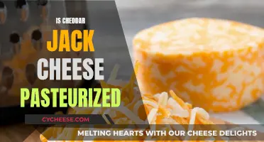 The Truth About Cheddar Jack Cheese Pasteurization
