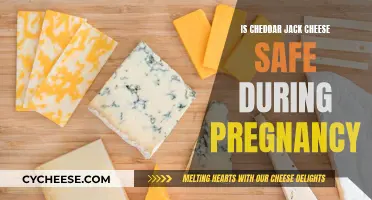 Cheese Safety in Pregnancy: Cheddar Jack's Nutritional Value