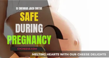 Pregnancy and Cheddar Jack Cheese: Safe or Not?
