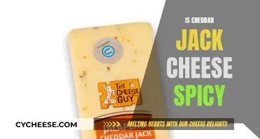 Unraveling the Mystery: Cheddar Jack's Spicy Secret