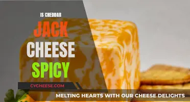 Cheddar Jack Cheese: Spicy or Not?