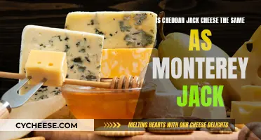 Cheddar Jack vs. Monterey Jack: Unraveling the Cheese Mystery