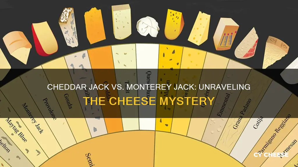 is cheddar jack cheese the same as monterey jack