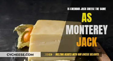 Cheddar Jack and Monterey Jack: What's the Difference?
